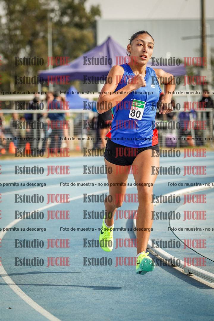 Fotos de los 800 m llanos de mujeres