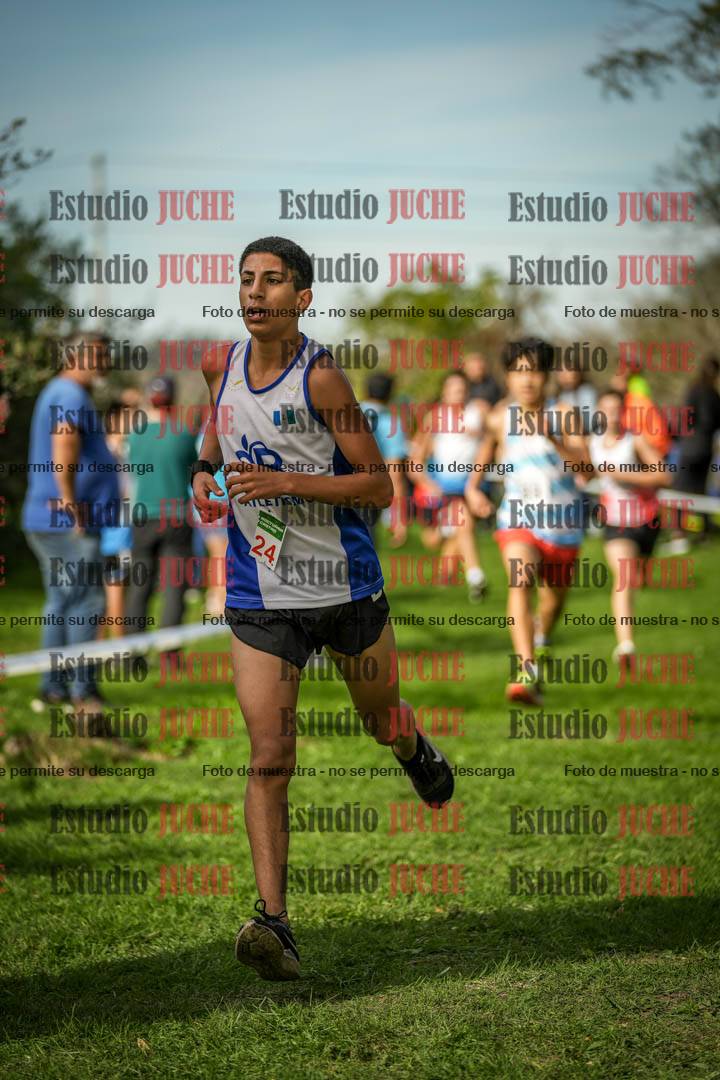 Fotos de la llegada del cross de 2000 m