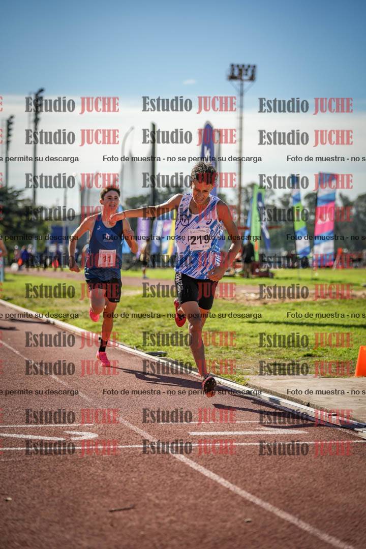 Fotos de los 800 m llanos de varones