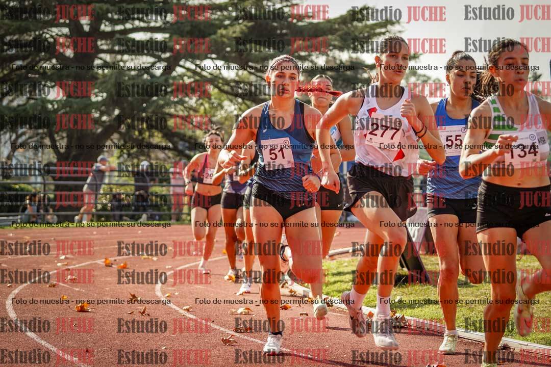 Fotos de los 800 m llanos de mujeres