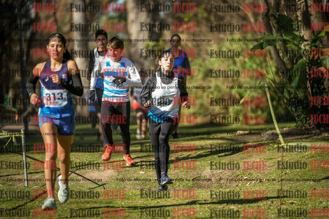 Fotos en el tercer punto del circuito