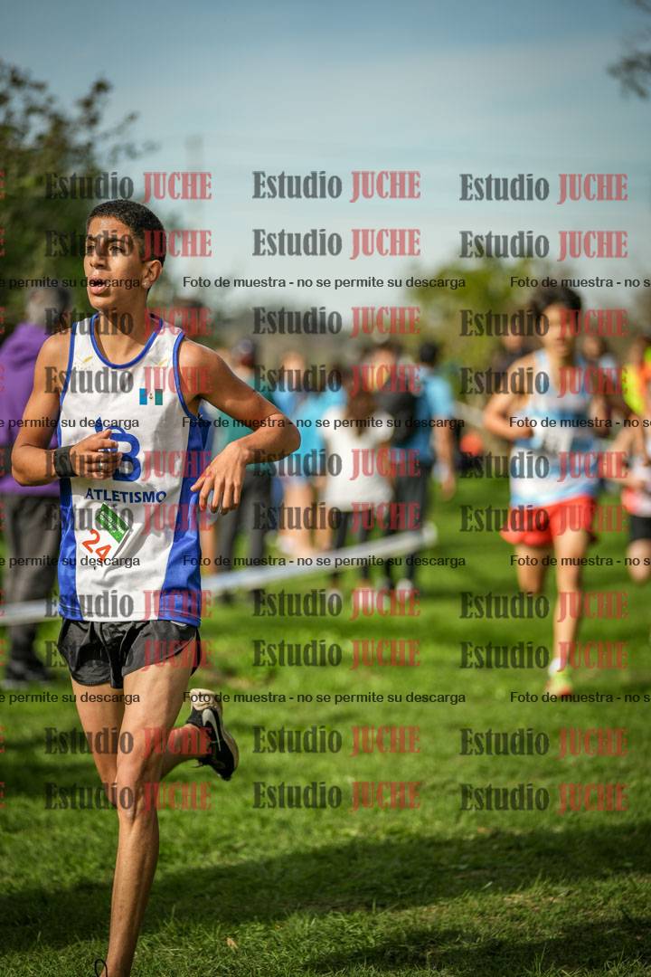 Fotos de la llegada del cross de 2000 m