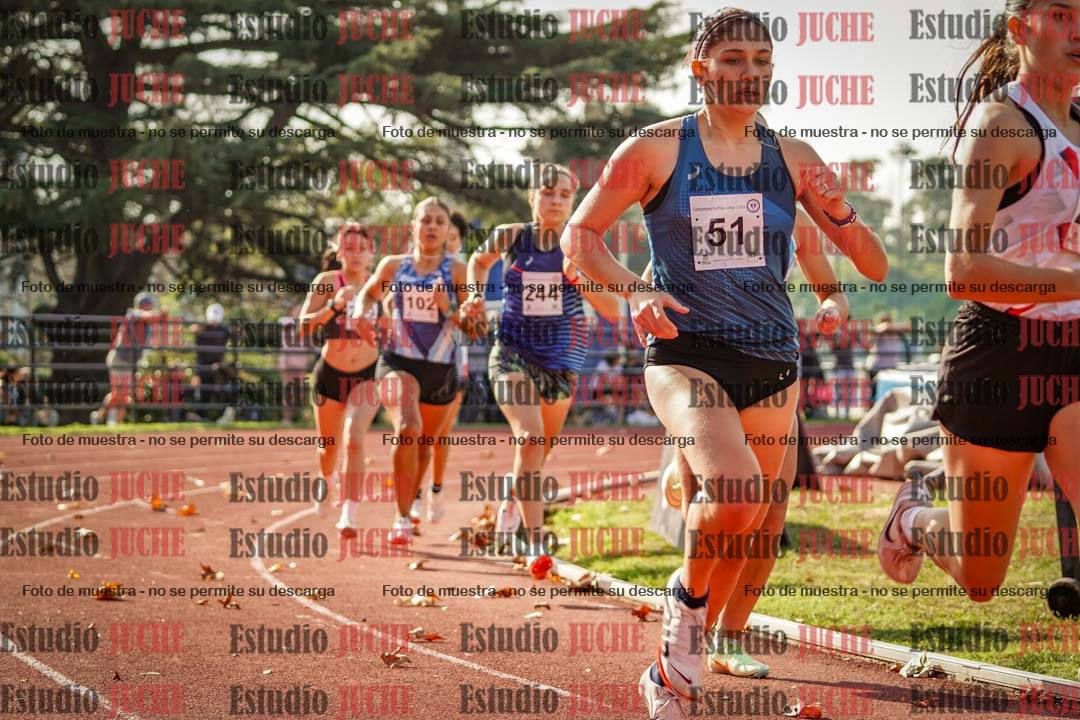 Fotos de los 800 m llanos de mujeres