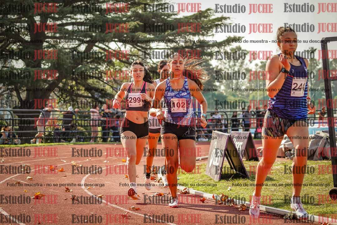 Fotos de los 800 m llanos de mujeres