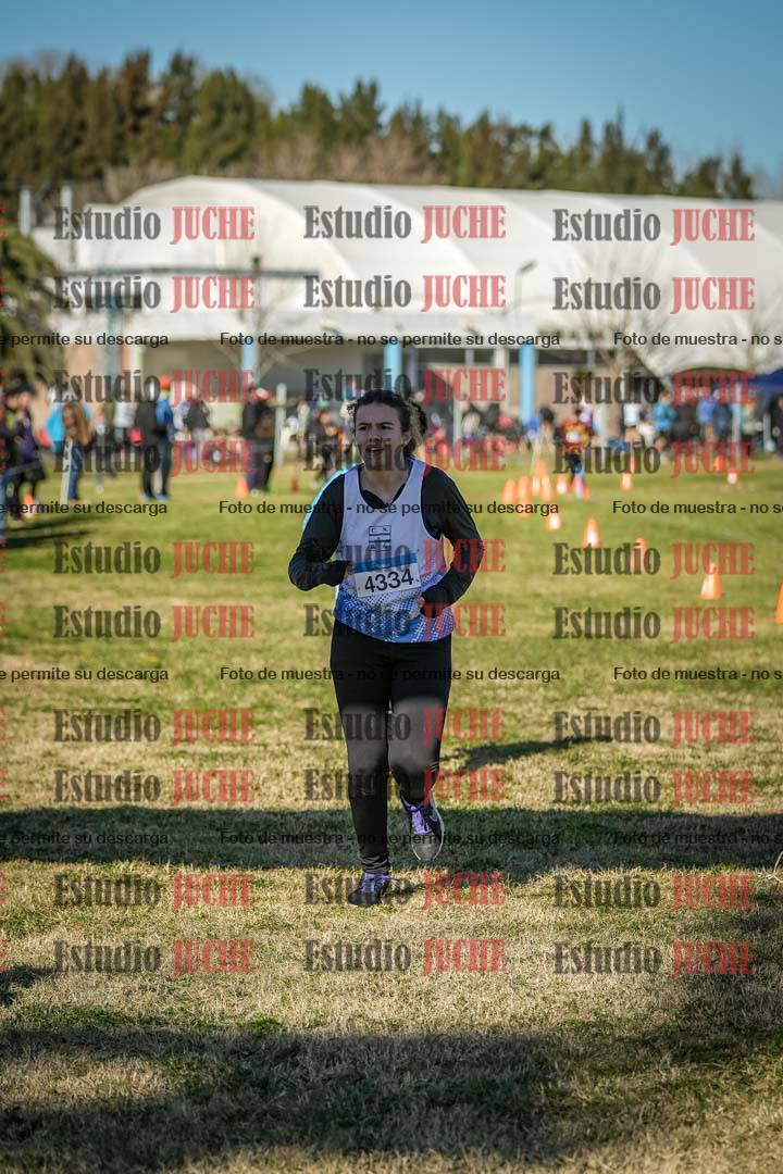 Fotos de las llegadas