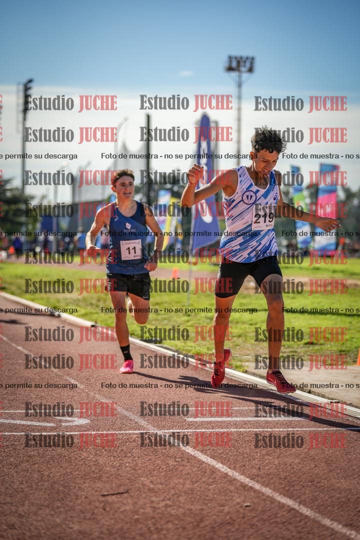 Fotos de los 800 m llanos de varones