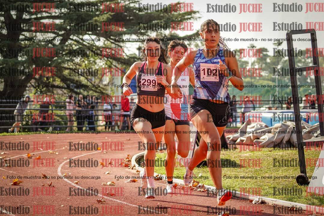 Fotos de los 800 m llanos de mujeres