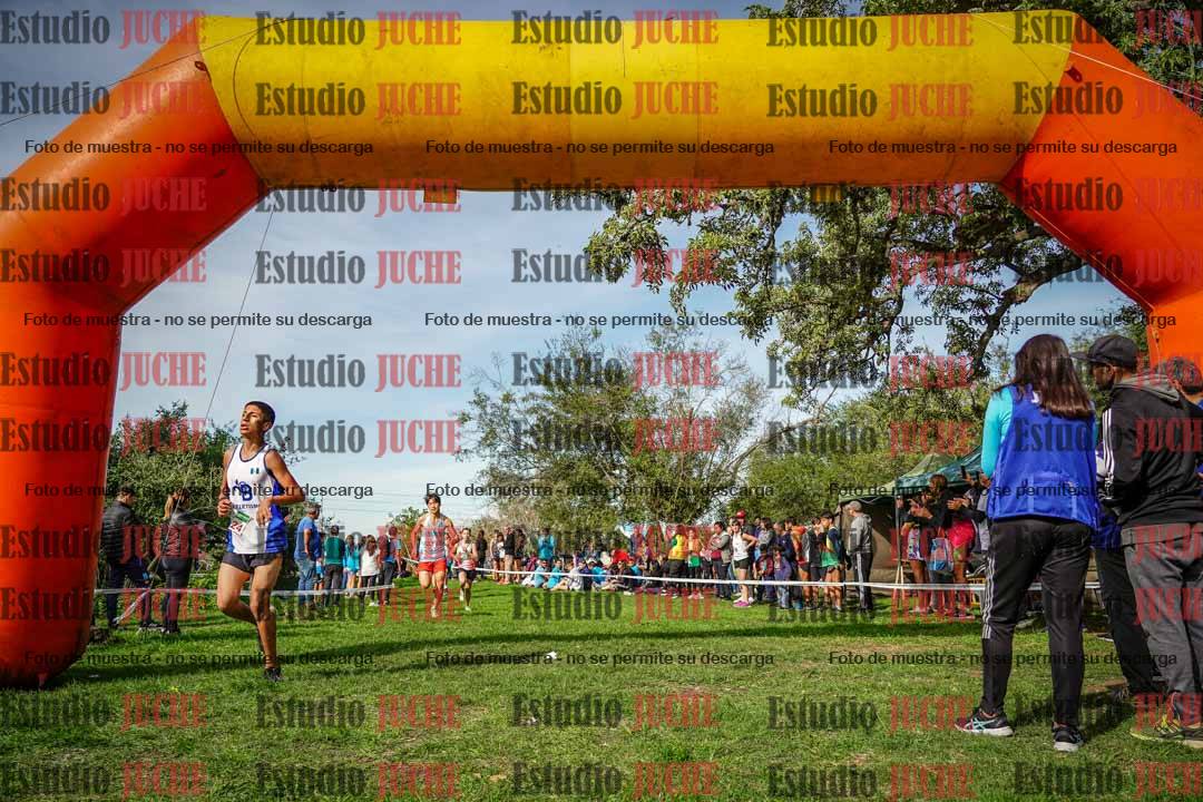 Fotos de la llegada del cross de 2000 m