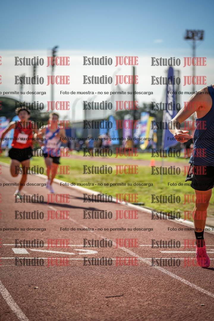 Fotos de los 800 m llanos de varones