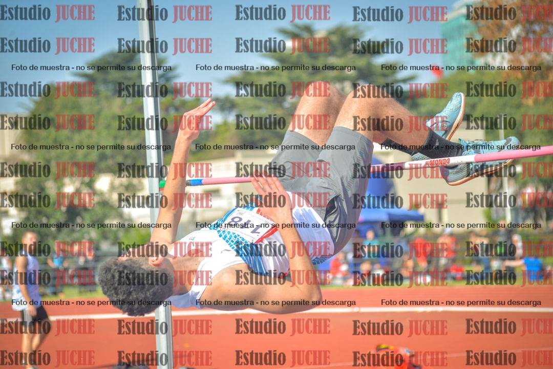 Fotos del salto en alto de varones