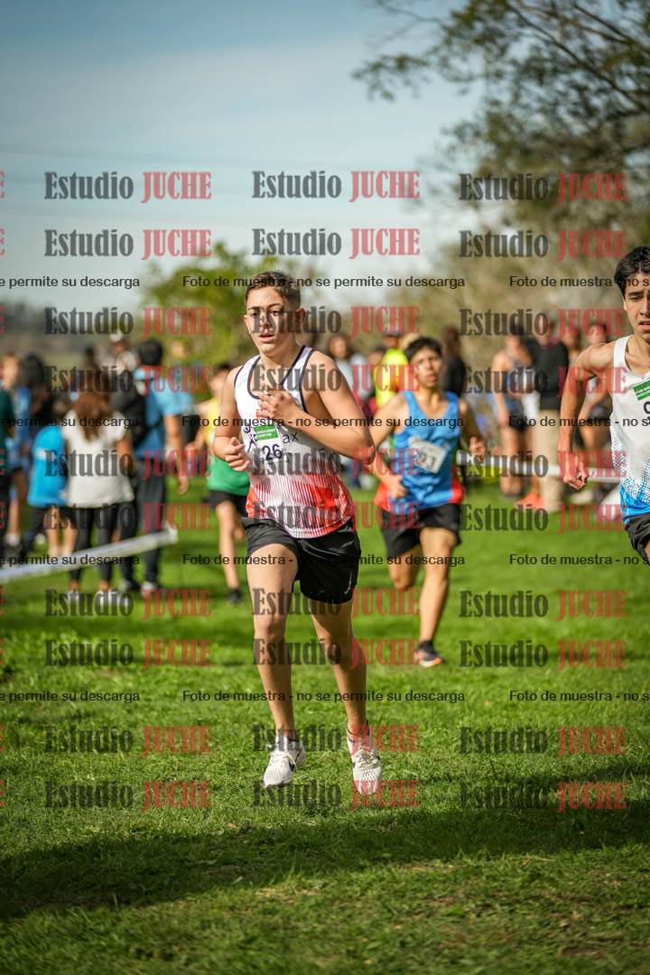 Fotos de la llegada del cross de 2000 m