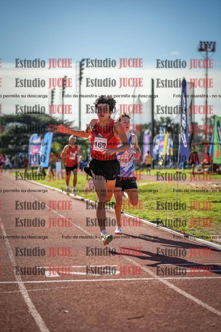 Fotos de los 800 m llanos de varones