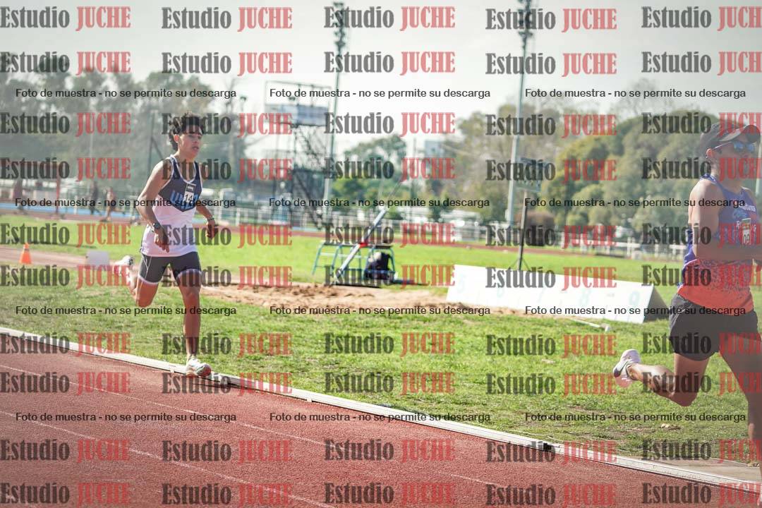 Fotos de los 800 m llanos de varones
