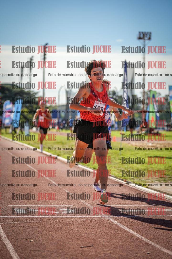 Fotos de los 800 m llanos de varones