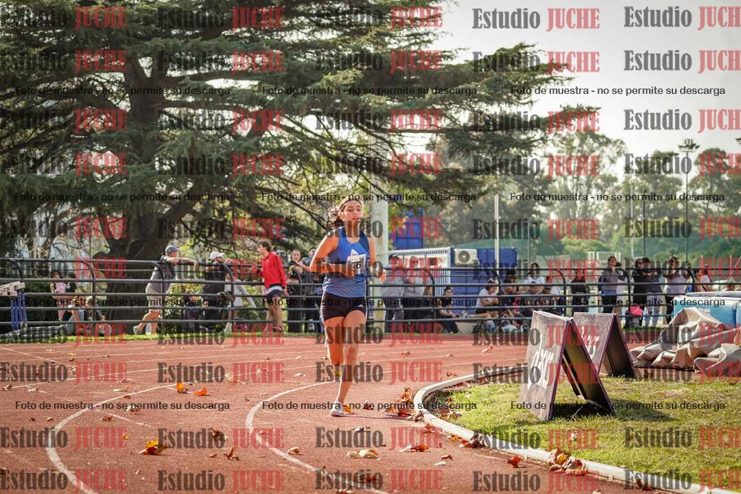 Fotos de los 800 m llanos de mujeres