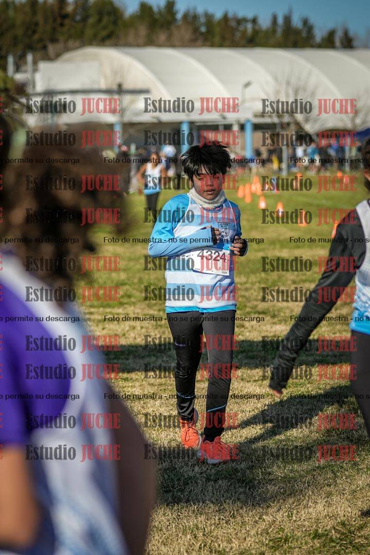 Fotos de las llegadas