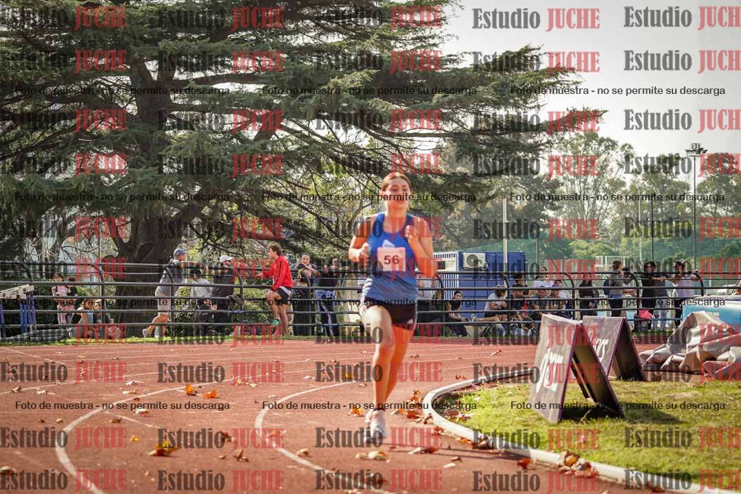 Fotos de los 800 m llanos de mujeres