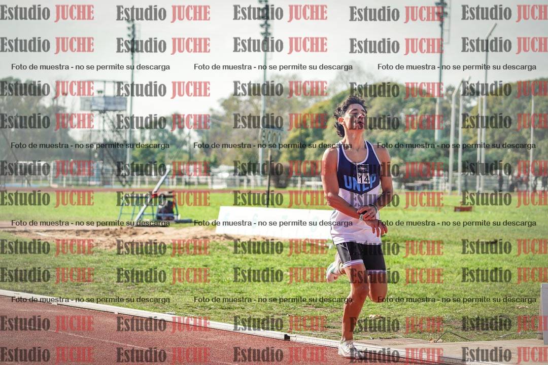 Fotos de los 800 m llanos de varones