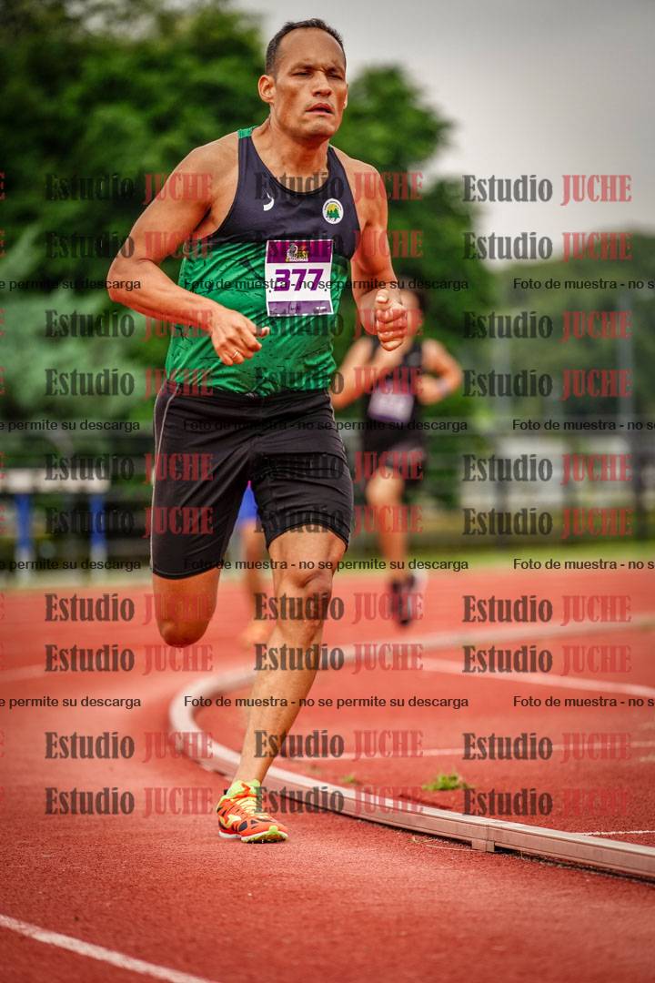 Fotos de los 800 m llanos de varones