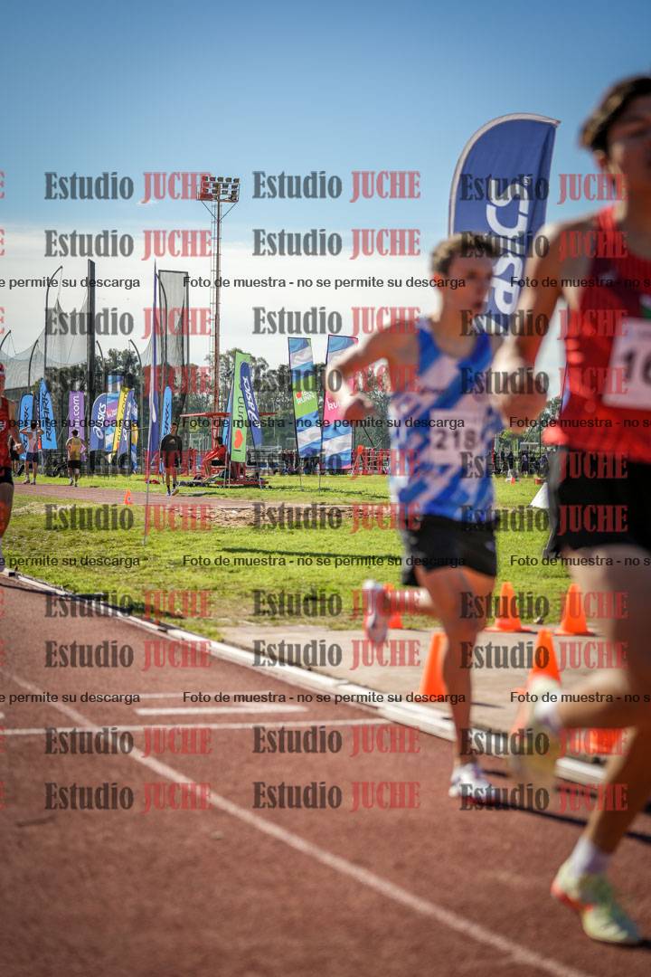 Fotos de los 800 m llanos de varones