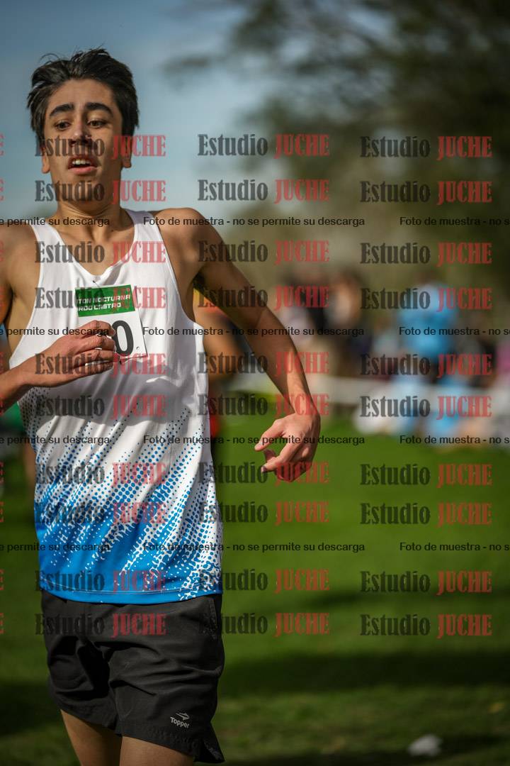 Fotos de la llegada del cross de 2000 m
