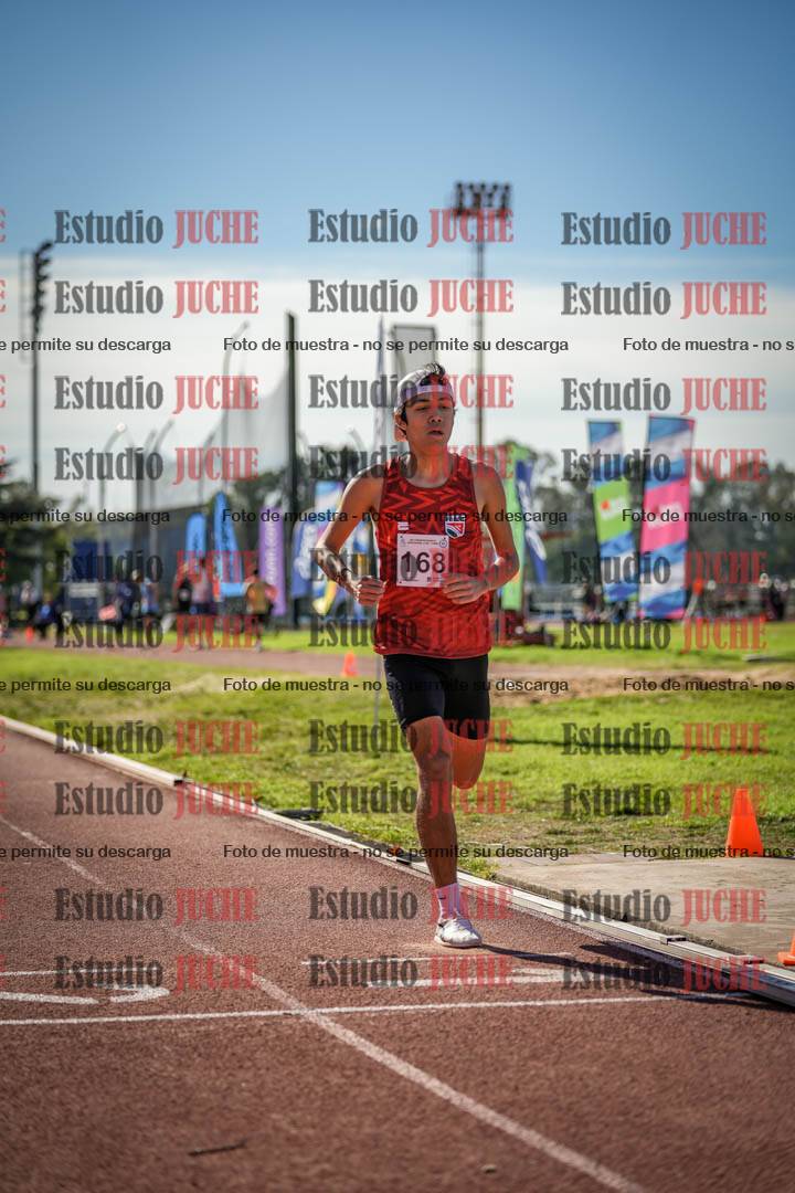 Fotos de los 800 m llanos de varones