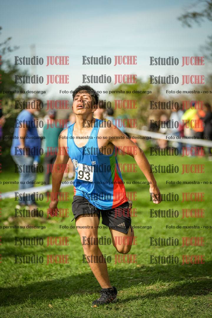 Fotos de la llegada del cross de 2000 m