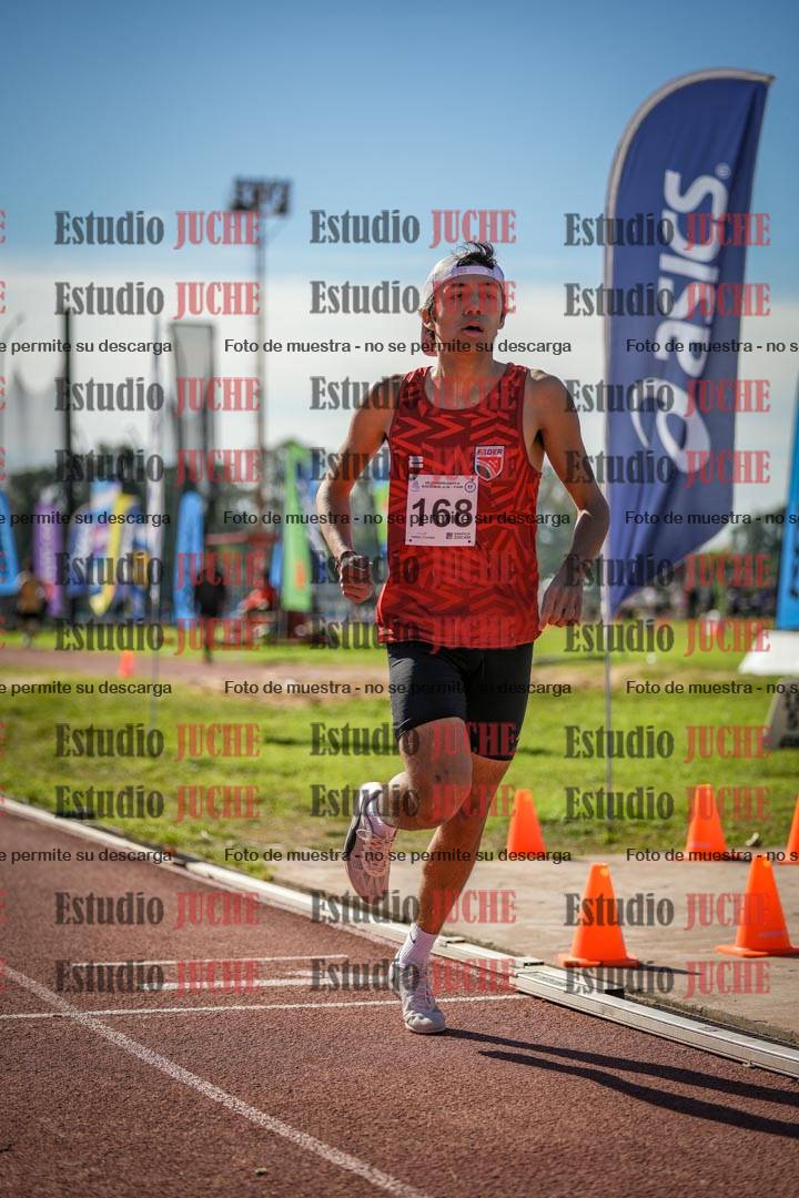 Fotos de los 800 m llanos de varones