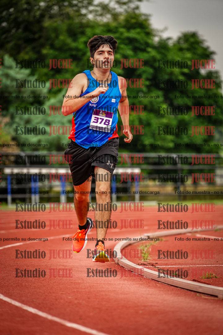 Fotos de los 800 m llanos de varones