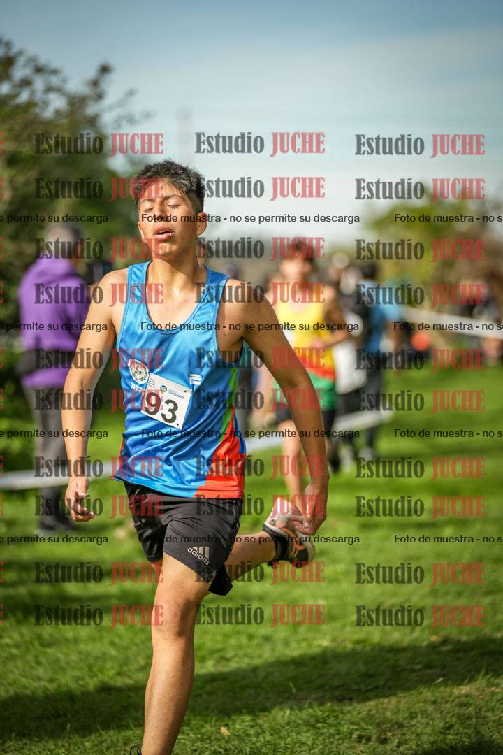 Fotos de la llegada del cross de 2000 m