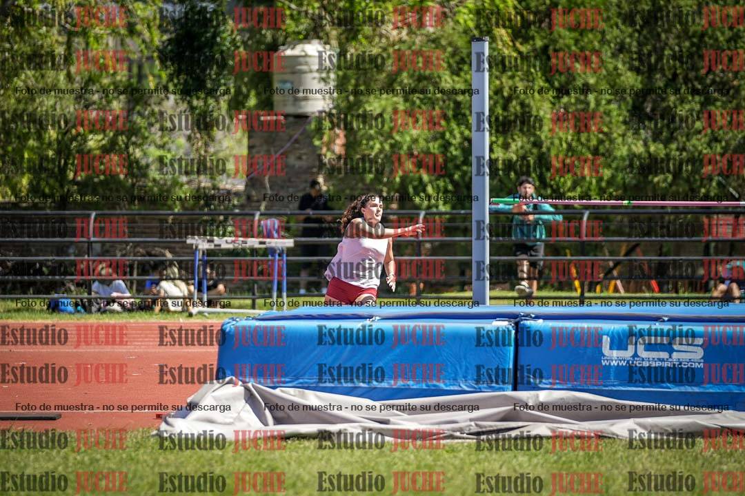 Fotos del salto en alto de mujeres