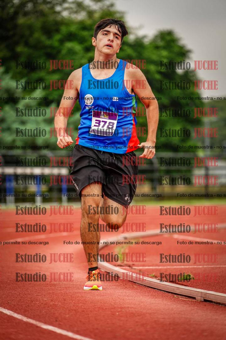 Fotos de los 800 m llanos de varones