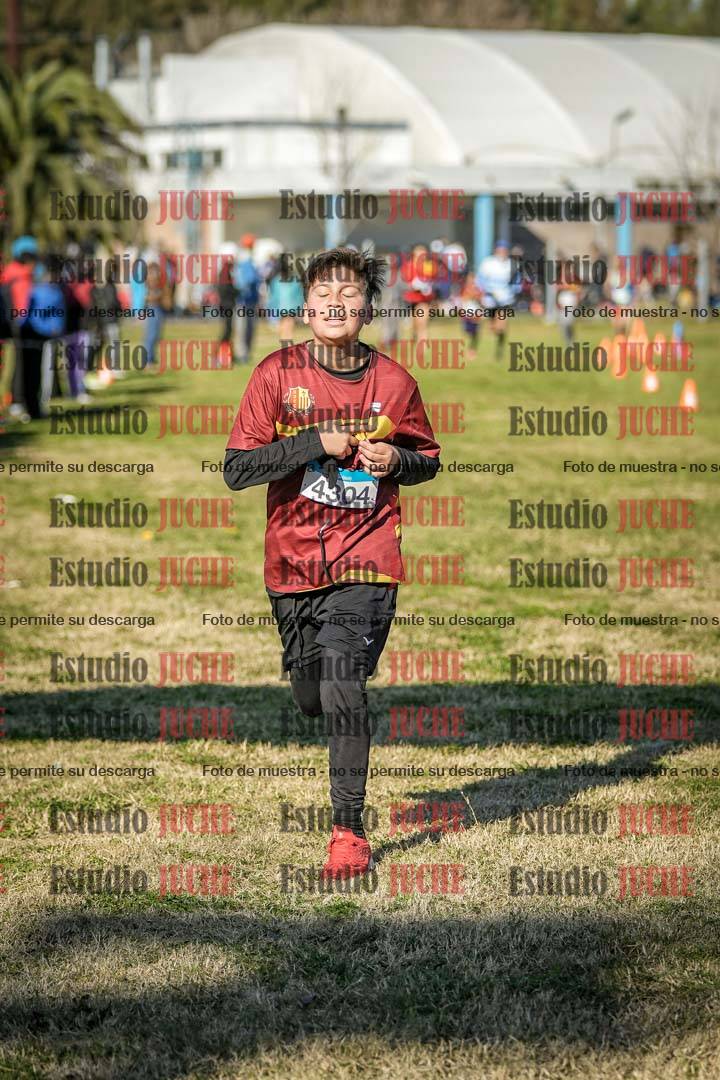 Fotos de las llegadas