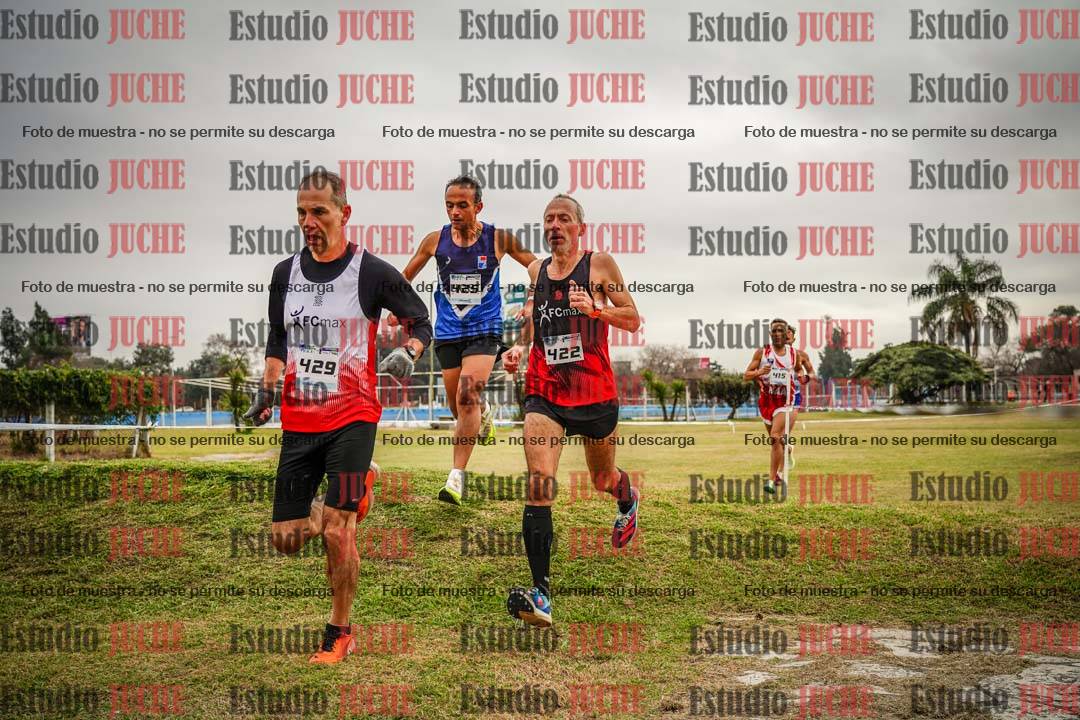 Fotos en el circuito