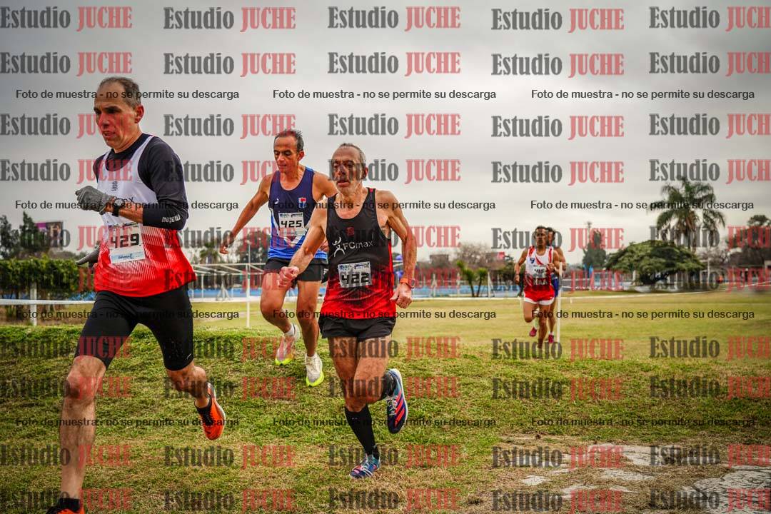 Fotos en el circuito