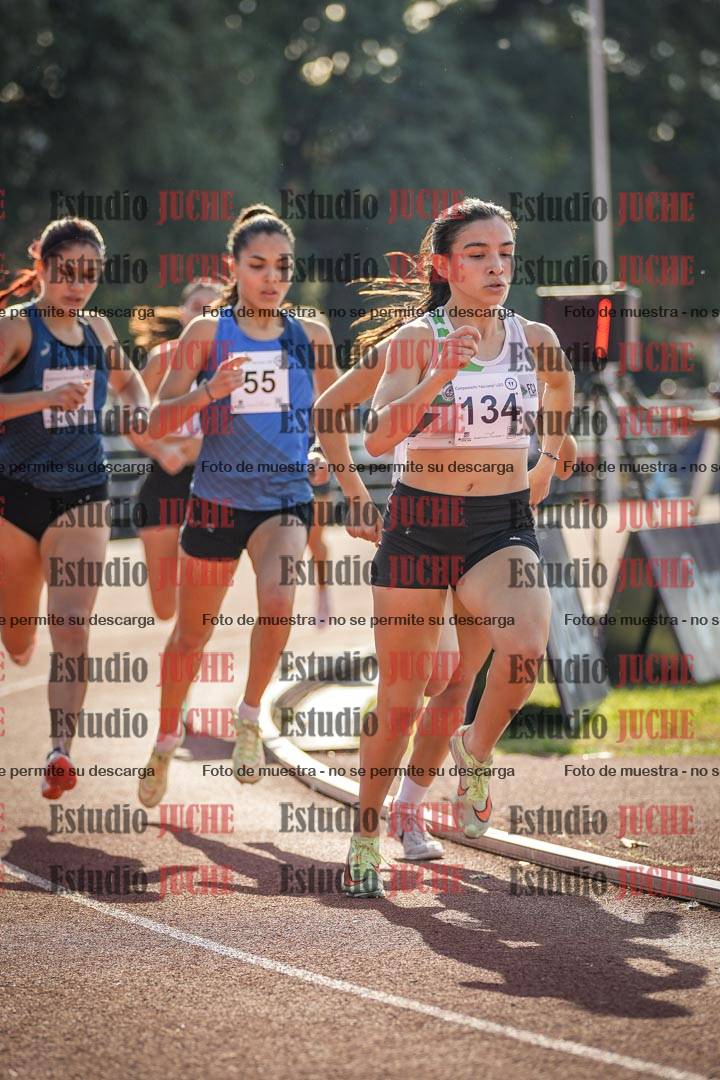 Fotos de los 800 m llanos de mujeres