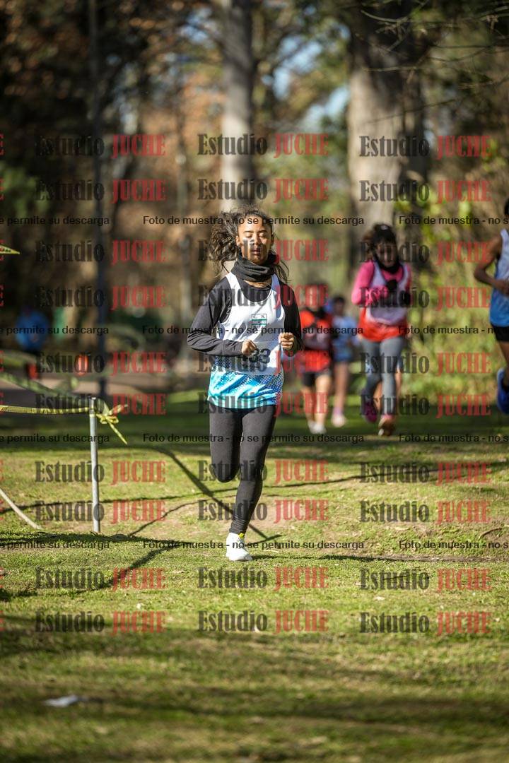 Fotos en el tercer punto del circuito