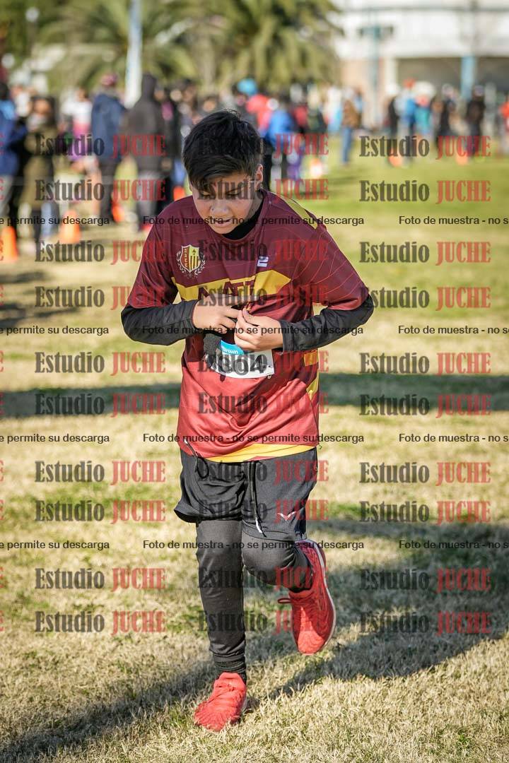 Fotos de las llegadas