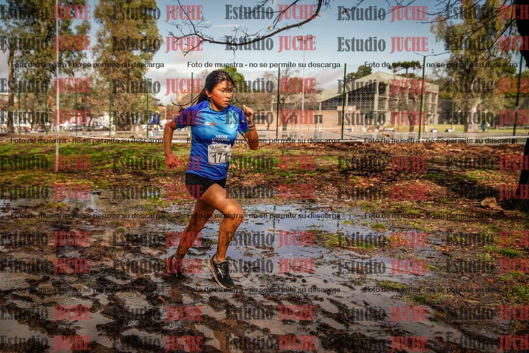 Fotos en el circuito