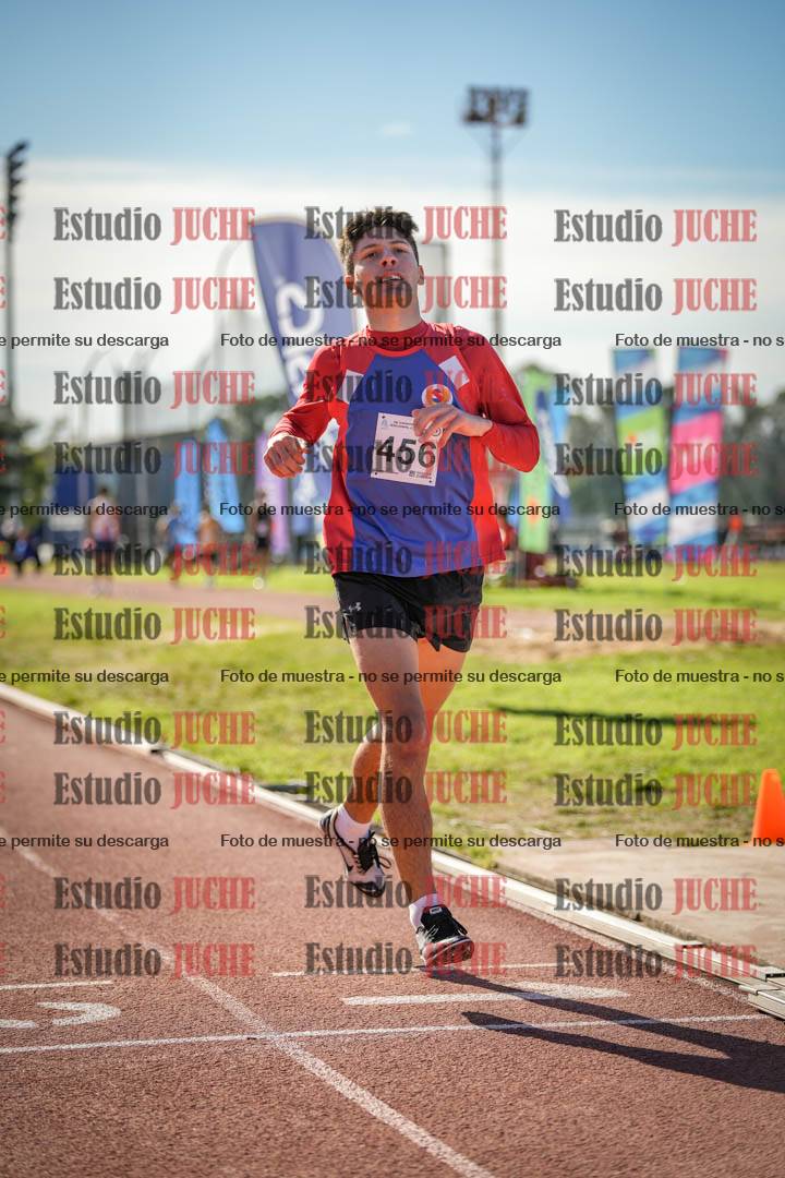 Fotos de los 800 m llanos de varones