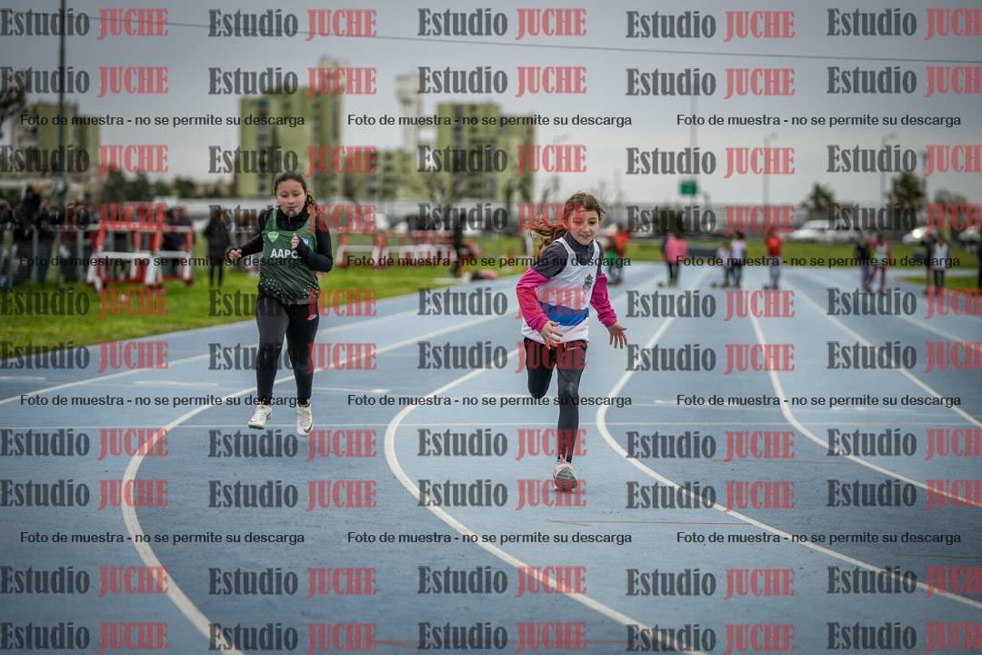 Fotos de los 50 m llanos de mujeres - U12