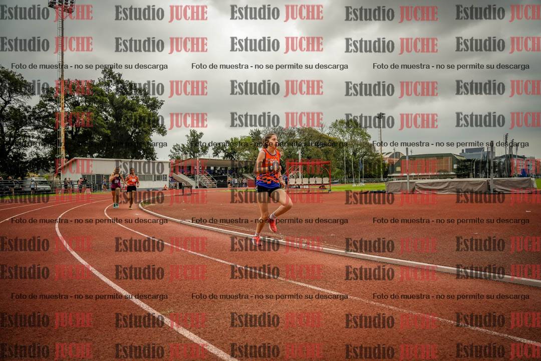 Fotos de los 800 m llanos de mujeres