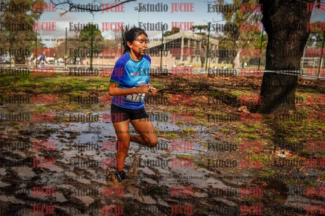 Fotos en el circuito