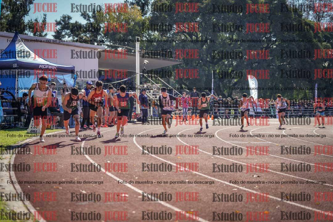 Fotos de los 800 m llanos de varones