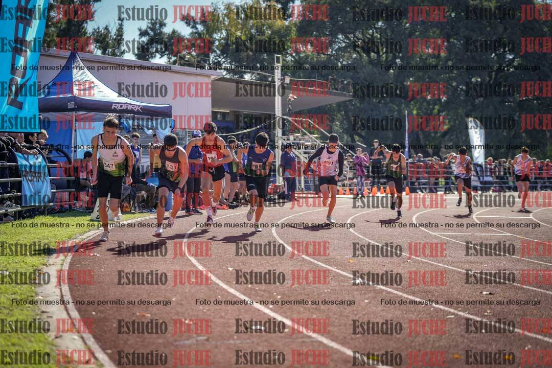 Fotos de los 800 m llanos de varones