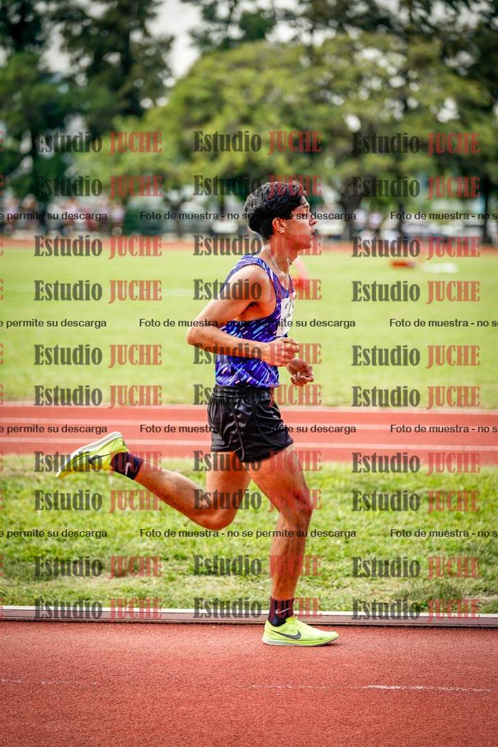 Fotos de los 3000 m llanos de varones