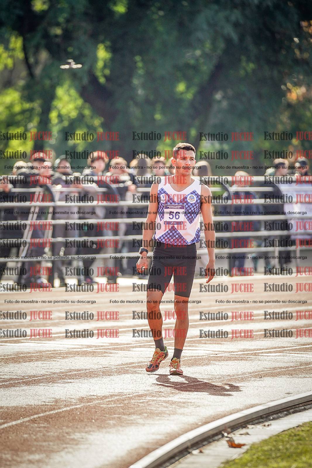 Fotos de los 800 m de varones