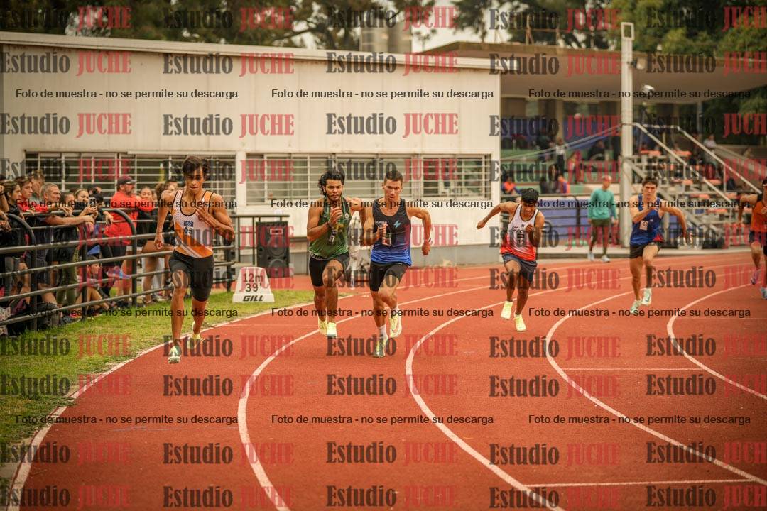 Fotos de los 800 m llanos de varones