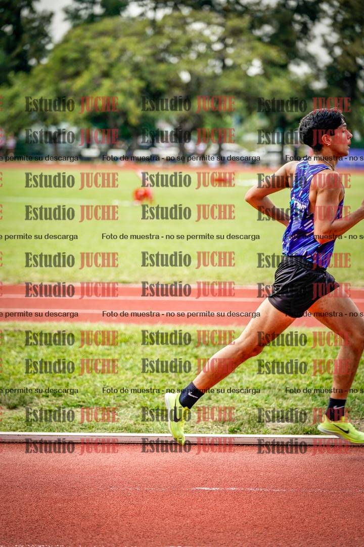 Fotos de los 3000 m llanos de varones