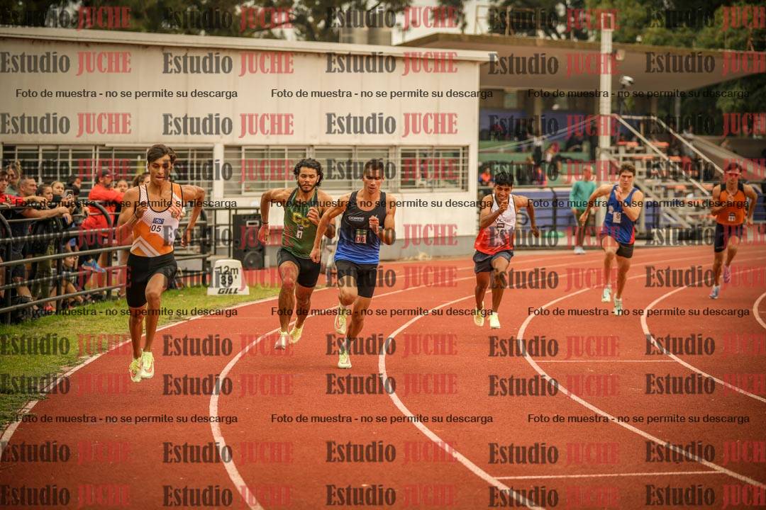 Fotos de los 800 m llanos de varones